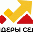 Лидеры села. - Эртильский район