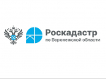16 июля 2026 года с 10:00 до 12:00 региональный Роскадастр проведет для граждан горячую линию по вопросам исправления технических и реестровых ошибок в сведениях Единого государственного реестра недвижимости (ЕГРН)..